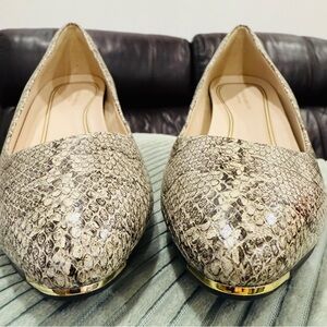 Cole Haan Grand Ambition Snake Print Pumps – Size 8.5